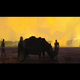 Illustration for article titled The Art Of iBlack Panther/i